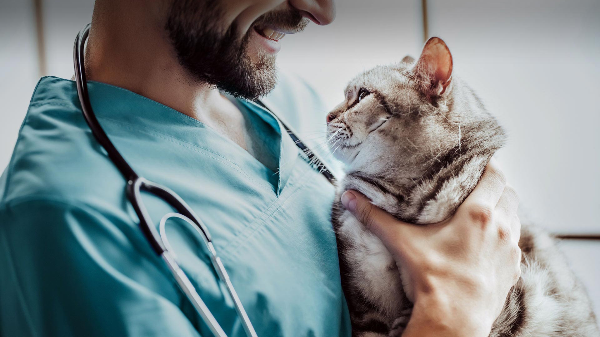 Beypazarı Veteriner